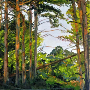 View of Forest with one felled tree by plein air artist Tom Smith
